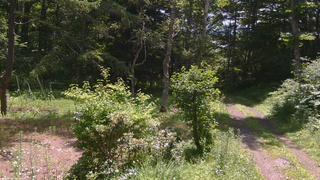 長野県菅平高原 ゆたか山荘 坂上 2026/07/16 10:15