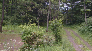 長野県菅平高原 ゆたか山荘 坂上 2026/07/16 10:30