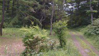 長野県菅平高原 ゆたか山荘 坂上 2026/07/16 10:45