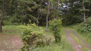 長野県菅平高原 ゆたか山荘 坂上 2026/07/16 11:00
