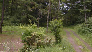 長野県菅平高原 ゆたか山荘 坂上 2026/07/16 11:15