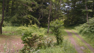 長野県菅平高原 ゆたか山荘 坂上 2026/07/16 11:30