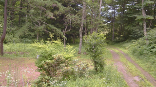 長野県菅平高原 ゆたか山荘 坂上 2026/07/16 12:00