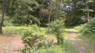 長野県菅平高原 ゆたか山荘 坂上 2026/07/16 12:15