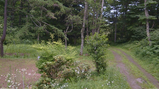 長野県菅平高原 ゆたか山荘 坂上 2026/07/16 12:30