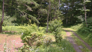 長野県菅平高原 ゆたか山荘 坂上 2026/07/16 12:45