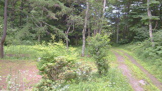 長野県菅平高原 ゆたか山荘 坂上 2026/07/16 13:00