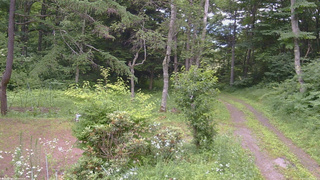 長野県菅平高原 ゆたか山荘 坂上 2026/07/16 13:15