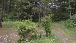 長野県菅平高原 ゆたか山荘 坂上 2026/07/16 13:30