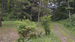 長野県菅平高原 ゆたか山荘 坂上 2026/07/16 13:45