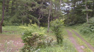 長野県菅平高原 ゆたか山荘 坂上 2026/07/16 14:00