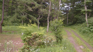 長野県菅平高原 ゆたか山荘 坂上 2026/07/16 14:15