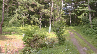 長野県菅平高原 ゆたか山荘 坂上 2026/07/16 14:45