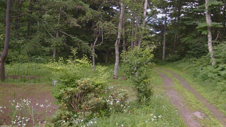 長野県菅平高原 ゆたか山荘 坂上 2026/07/16 15:00