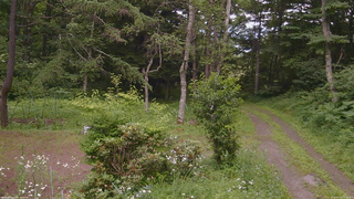 長野県菅平高原 ゆたか山荘 坂上 2026/07/16 15:15
