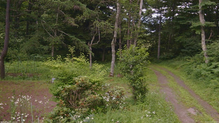 長野県菅平高原 ゆたか山荘 坂上 2026/07/16 15:30