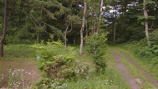 長野県菅平高原 ゆたか山荘 坂上 2026/07/16 15:45
