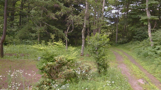 長野県菅平高原 ゆたか山荘 坂上 2026/07/16 16:00