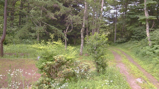 長野県菅平高原 ゆたか山荘 坂上 2026/07/16 16:15