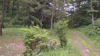 長野県菅平高原 ゆたか山荘 坂上 2026/07/16 16:30