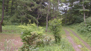 長野県菅平高原 ゆたか山荘 坂上 2026/07/16 16:45