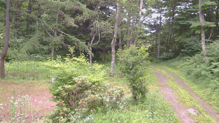 長野県菅平高原 ゆたか山荘 坂上 2026/07/16 17:00