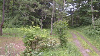 長野県菅平高原 ゆたか山荘 坂上 2026/07/16 17:15