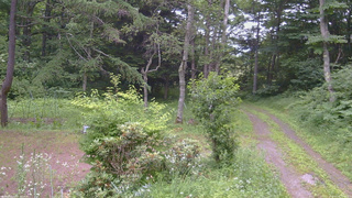 長野県菅平高原 ゆたか山荘 坂上 2026/07/16 17:30