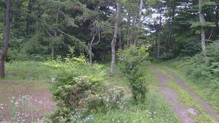 長野県菅平高原 ゆたか山荘 坂上 2026/07/16 17:45