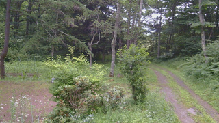 長野県菅平高原 ゆたか山荘 坂上 2026/07/16 18:15