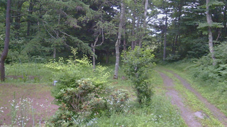 長野県菅平高原 ゆたか山荘 坂上 2026/07/16 18:30