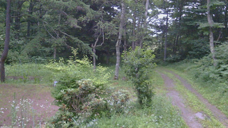長野県菅平高原 ゆたか山荘 坂上 2026/07/16 18:45