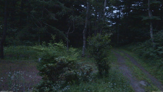 長野県菅平高原 ゆたか山荘 坂上 2026/07/16 19:15