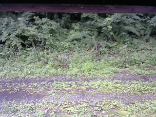 長野県菅平高原 ゆたか山荘 東側(坂下) 2026/07/17 09:00