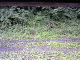 長野県菅平高原 ゆたか山荘 東側(坂下) 2026/07/17 11:00