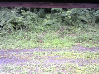 長野県菅平高原 ゆたか山荘 東側(坂下) 2026/07/17 14:00