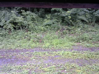 長野県菅平高原 ゆたか山荘 東側(坂下) 2026/07/17 14:15