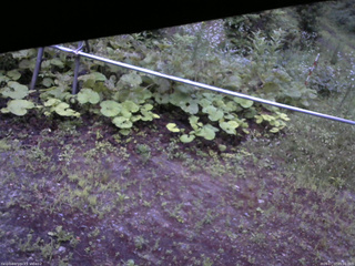 長野県菅平高原 ゆたか山荘 駐車場 2026/07/17 05:00