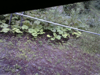 長野県菅平高原 ゆたか山荘 駐車場 2026/07/17 05:15