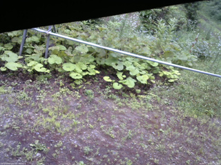 長野県菅平高原 ゆたか山荘 駐車場 2026/07/17 07:15