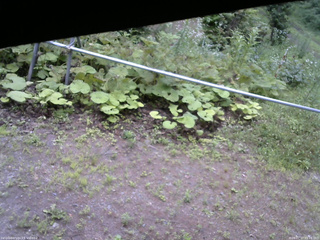 長野県菅平高原 ゆたか山荘 駐車場 2026/07/17 09:15