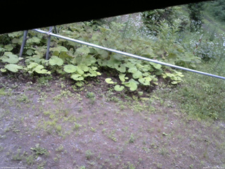 長野県菅平高原 ゆたか山荘 駐車場 2026/07/17 09:30