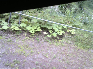 長野県菅平高原 ゆたか山荘 駐車場 2026/07/17 11:45