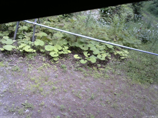 長野県菅平高原 ゆたか山荘 駐車場 2026/07/17 12:45