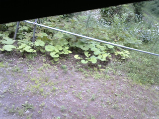長野県菅平高原 ゆたか山荘 駐車場 2026/07/17 15:30
