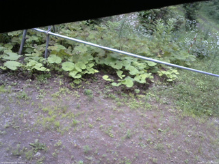 長野県菅平高原 ゆたか山荘 駐車場 2026/07/17 16:45