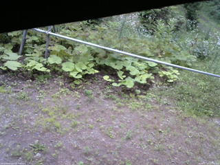 長野県菅平高原 ゆたか山荘 駐車場 2026/07/17 17:15