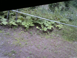 長野県菅平高原 ゆたか山荘 駐車場 2026/07/17 18:00