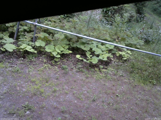 長野県菅平高原 ゆたか山荘 駐車場 2026/07/17 18:30