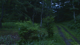 長野県菅平高原 ゆたか山荘 坂上 2026/07/17 05:00